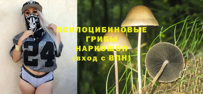 Галлюциногенные грибы Magic Shrooms  Заинск 